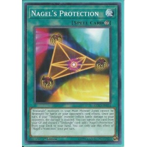 EXFO-EN054 Nagel’s Protection – Common